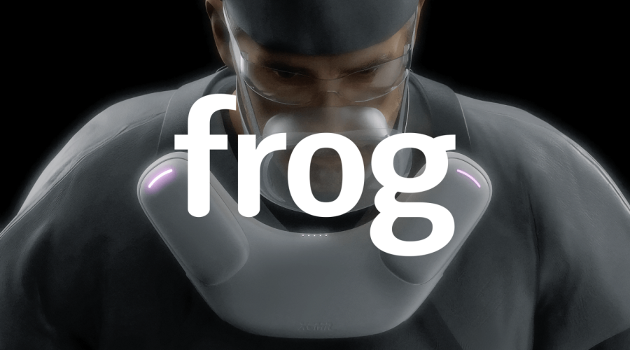 frog-and-img